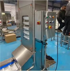 Gıda sınıfı paslanmaz çelik z-tipi konveyör patates cipsi için ayarlanabilir kova asansörü yeni bitkiler tahıl somun pelet besleme - Product Image 5