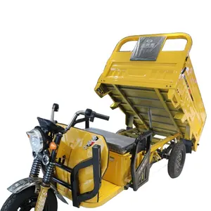 Prezzo di fabbrica 3 ruote Cargo triciclo all'ingrosso 1.6 M modello scooter Cargo Trike