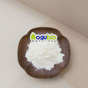 Galactoarabinano Premium da Legno di Larice |   Polvere di Galactoarabinano di Grado Alimentare, Fibra Prebiotica Naturale - Product Image 1