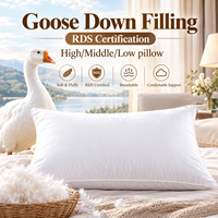 Oreiller en duvet d'oie 860g, direct usine, moelleux et résistant, pour dormeurs sur le dos et sur le côté, conception à 3 compartiments, silencieux, anti-évasion de duvet, pour hôtel et maison, OEM ODM