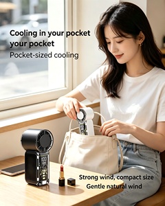 Luxurious Color Box Plastic <b>Hand</b> <b>Held</b> <b>Fan</b> Class A Customised <b>Hand</b> <b>Fan</b> - Product Image 1