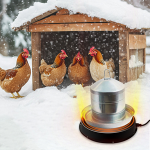 Oruga para brazo, - Product Image 6