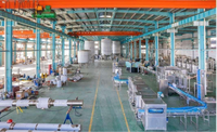 Máquina de Llenado Aséptico Industrial para Bolsas y Tambores, Línea de Llenado Aséptico de Pulpa, Máquina de Envasado de Líquidos UHT para Leche, Zumo y Bolsas