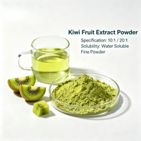 Poudre d'extrait de kiwi en gros 10:1 20:1, matière première naturelle de fruits pour boissons, boulangerie et confiserie