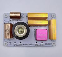 Tweeter Berkualitas Tinggi Desain Menarik Hanya Crossover untuk Kabinet Speaker Audio Profesional