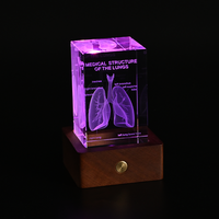 Cube de squelette anatomique humain gravé au laser 3D en cristal transparent, modèle de statue, presse-papiers, anatomie, neurologie, sciences médicales
