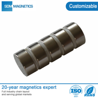 D1mm 2mm 3mm 4mm 5mm 6mm 8mm 10mm 12mm 15mm 20mm N35 N42 Magnet Rare Earth Ndfeb Disc Permanent N52 Neodymium Magnet