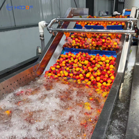 Industriële Type Grote Fruit En Plantaardige Bubbel Ozon Wasmachine Kern Component Motor
