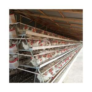 Gabbia per Polli Tipo A per 5000 Galline Ovaiole per Allevamento Avicolo - Product Image 1