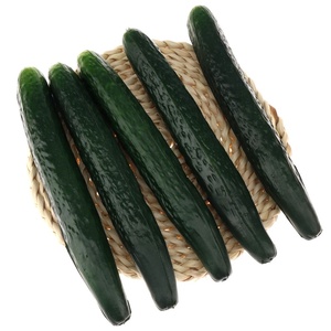 Pepino Artificial <span class=keywords><strong>de</strong></span> PU Suave <span class=keywords><strong>de</strong></span> Alta Calidad, Decoración <span class=keywords><strong>de</strong></span> Vegetales Artificiales Realistas para el Hogar, Cocina, Mesa, Exhibición <span class=keywords><strong>de</strong></span> Plantas - Product Image 1
