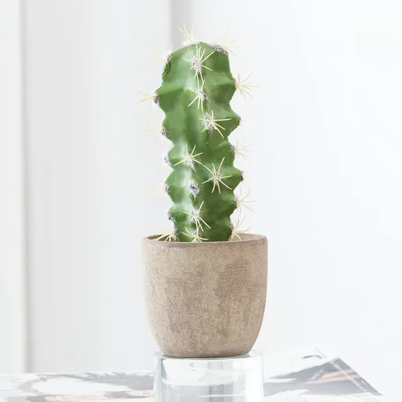 BF nuevo diseño al por mayor barato encantador cactus papel pulpa en maceta plantas suculentas artificiales bonsái para la venta Planta artificial