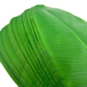 Tappetino Decorativo con Foglia <span class=keywords><strong>di</strong></span> Banana Verde Simulata <span class=keywords><strong>per</strong></span> Casa, <span class=keywords><strong>Halloween</strong></span>, San Valentino, Laurea, Festa della Mamma - Product Image 3