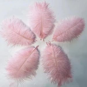 Großhandel Hot Sale 30-35cm Straußen feder Natur Straußen feder Gefärbte Federn für festliche Hochzeits dekorationen Kunst handwerk - Product Image 1