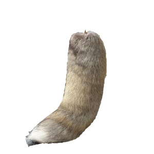 Nueva llegada 40cm tamaño grande Foxtail Fluffy llavero Real Fox Fur Tail bolso encanto decoración ligero Natural Fox Tails llavero - Product Image 5