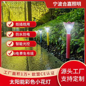 Lámpara Solar de Jardín Hejia 030 con Cambio de Color, Lámpara Decorativa para Exteriores con Certificación CE - Product Image 5