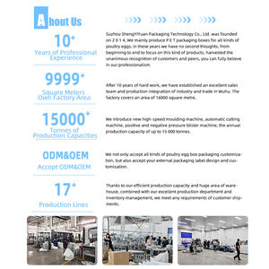 מגש ביצת שלפוחית פלסטיק חד פעמי לחיות מחמד מחזיק עד 20 ביצים להתאמה אישית עם הדפסת לוגו עבור חוות תרנגולות ושימוש בשוק - Product Image 6