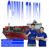 Importadores de Carga en Palés, Transitario DDP Confiable de China a EE. UU., Canadá, Alemania, Francia, Italia, Tránsito Estable, Impuestos Pagados, Puerta a Puerta, LCL, FCL, 3PL