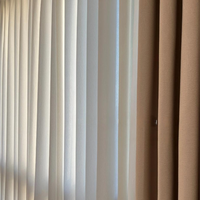 Cortina Translúcida con Textura Ondulada, Protección UV, Aislamiento Térmico, Filtrado de Luz, Privacidad, Voile para Ventana, Directo de Fábrica