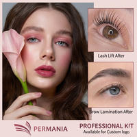 Kit professionnel de rehaussement de cils et de lamination de sourcils, sachets roses à usage unique, solution de permanente rapide pour salon de beauté, vente en gros