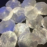 Coquillages de Capiz Naturels Bruts en Gros, Coquillages de Capiz Blancs pour Cartes d'Invitation de Mariage DIY