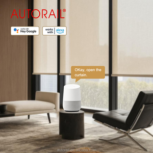 AUTORAIL elettrico doppio <span class=keywords><strong>rullo</strong></span> tende Hotel <span class=keywords><strong>tenda</strong></span> intelligente tapparelle motorizzate <span class=keywords><strong>rullo</strong></span> - Product Image 6