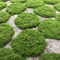 Gazon artificiel en mousse de sphaigne, gazon vert, aménagement paysager, mousse filamentaire, durable, écologique, plante, anniversaire, Pâques, réaliste