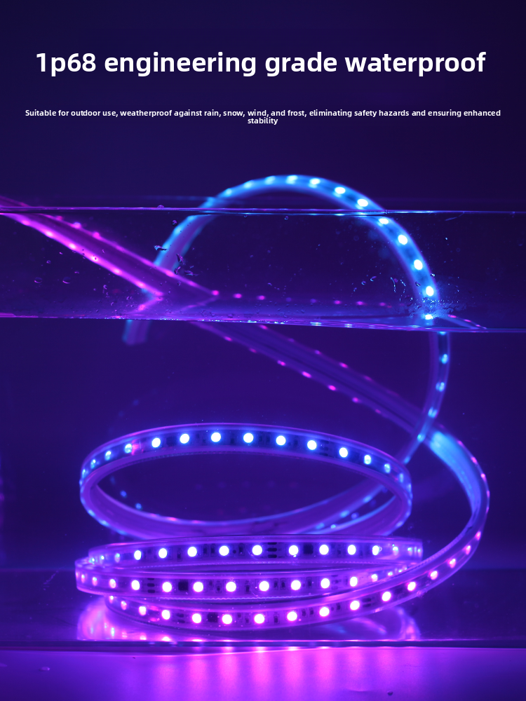 RGB 24V SMD 5050 LED Strip Light 110v 220v Waterproof Smart Controller Remote for Outdoor Christmas Lights Decoration