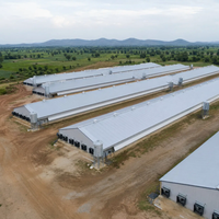 Bâtiment d'élevage avicole multi-étages en structure acier préfabriquée pour poulailler et élevage de poules pondeuses, avec garantie de 5 ans