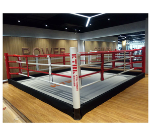 FightBro EPW <strong>wwe</strong> <strong>Ring</strong> Boxing - Product Image 3