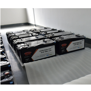 24V 100ah LFP batteria agli ioni di litio Lifepo4 per accumulo di energia solare RV E uso di E-Boat - Product Image 2