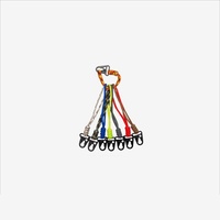 Lanière porte-clés d'extérieur avec mousqueton, sangle multicolore pour camping, randonnée, sac à dos, bouteille d'eau