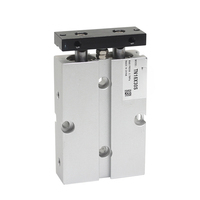 Cylindre pneumatique à double effet à deux tiges de type Airtac, avec aimant, TN10XS 16X20S X30S 32X40S X50S X60S, OEM, 3 ans de garantie, livraison gratuite
