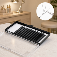 Extensions de cils 3D Clover Lashes, bouquets de volume préfabriqués, noirs doux, faciles à prélever, pour artistes en cils et salons de beauté