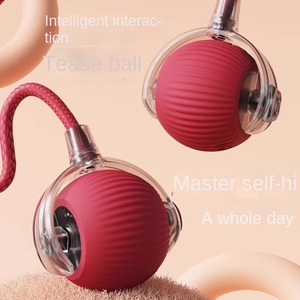 Bola de silicona resistente a mordeduras recargable por USB, juguete de movimiento interactivo inteligente para mascotas, suministro divertido de tamaño pequeño para niños, gatos y perros - Product Image 2