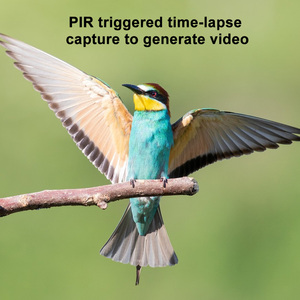 2.7K P2P WiFi Croissance des plantes Enregistrement Photo Photo Time-lapse Caméra Cadeau - Product Image 3