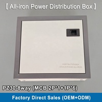Boîtier de distribution électrique monophasé 6 voies en fer, armoire de distribution de puissance, assemblage IP40 blanc/noir/gris, marque RUIPEIN