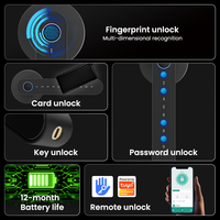 Cerradura Inteligente de Aluminio Negro de Seguridad Clase C OEM/ODM con Desbloqueo por Huella Dactilar, Tarjeta de Memoria, Control Remoto WiFi y App Tuya