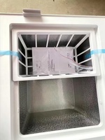 En stock Congélateur commercial 118L Congélateur domestique Réfrigérateur à congélation complète Appareil de cuisine à porte unique Autres pièces