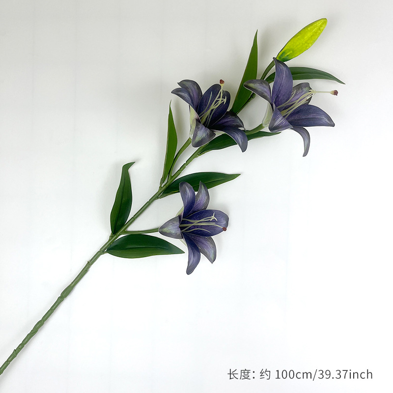 สีม่วงน้ำเงิน