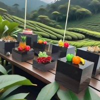 Supports d'affichage de cube en acrylique carrés-Support de collation de gâteau de pause de thé de repas froid pour la nourriture de buffet pour la présentation de nourriture