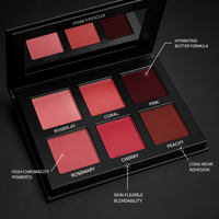 Palette de fards à joues, formule sans toxines, biocompatible, marque privée OEM ODM, sans plastique, look éclatant, kit professionnel expert de laboratoire moderne
