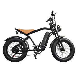 Ruihe Y8 New Arrival Men's City Riding <b>Electric</b> Bicycle 48V Double disc brake City Bike 20inch Fat Tyre E-Bike for men - Product Image 5