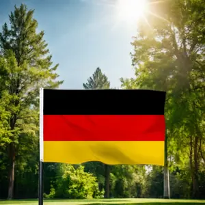 中国サプライヤーカスタムサイズ5x3 90x150ポリエステル国際ドイツドイツ国旗