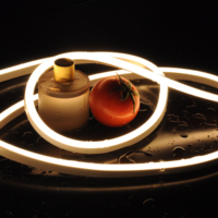 Luz de neón LED IP67 flexible de tamaño 1015 para cocina de hotel iluminación decorativa al aire libre