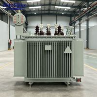 SinoShine 160KVA Üç Fazlı Yağ Soğutmalı dağıtım transformatörü 10KV/0,4KV Dyn11 S13 Bakır Sarım Düşük Kayıp IEC Dış Mekan