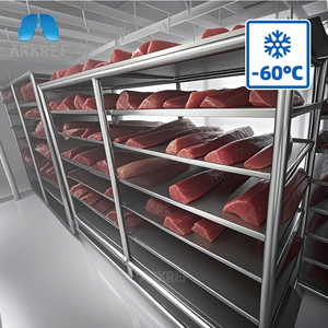 ARKREF Gewerblicher Großer Kühlraum und Gefrierraum CO2-Kühlraum für Fisch/Frischfleisch/Rindfleisch - Product Image 2