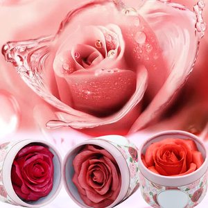 Blush Personalizzato a Forma di <span class=keywords><strong>Rosa</strong></span> Selvatica per Contorno e Illuminante Viso con Colore Opaco o Brillante - Product Image 3