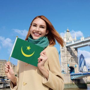 Venta al por mayor 14*21cm Mauritania mano ondeando banderín bandera gran oferta países globales con varilla de madera bandera personalizada - Product Image 3