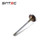 Fabricant de pièces automobiles, soupape d'admission 1003202GD190 pour système moteur automobile JAC T6 2.0