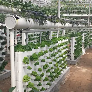 Hydro ponics Vertical Farm System Pflanze geführt wachsen Li wachsen Licht Mover Indoor Micro Greens Landwirtschaft wachsen CO2-Futter